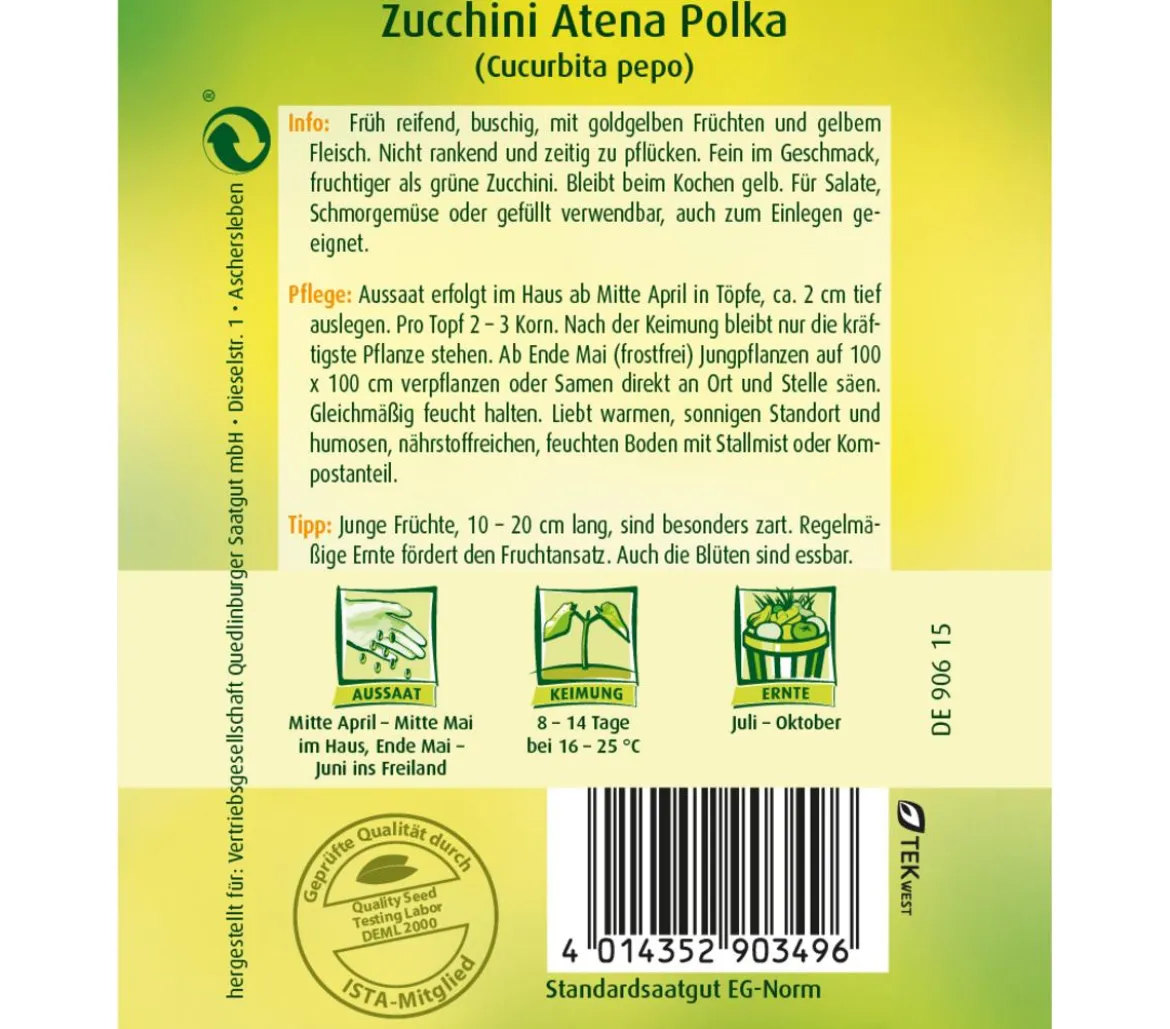 Quedlinburger Samen Zucchini 'Atena Polka'