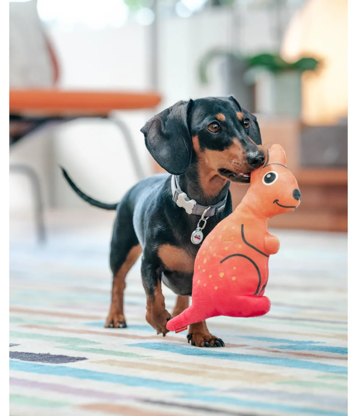 Red Dingo Hundespielzeug DURABLES Toys Känguru