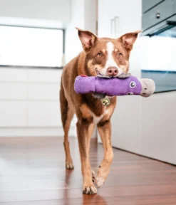 Red Dingo Hundespielzeug DURABLES Toys Schnabeltier