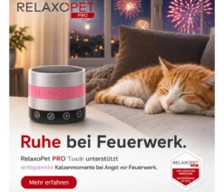 RelaxoPet® Pro Touch Anti-Stress-System für Katzen