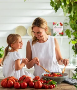 Resistente Tomate, rundfruchtig