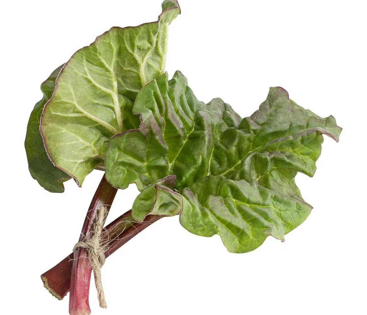 Rhabarber