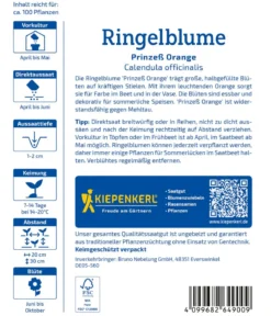 Ringelblume Prinzeß Orange, Saatgut von Kiepenkerl