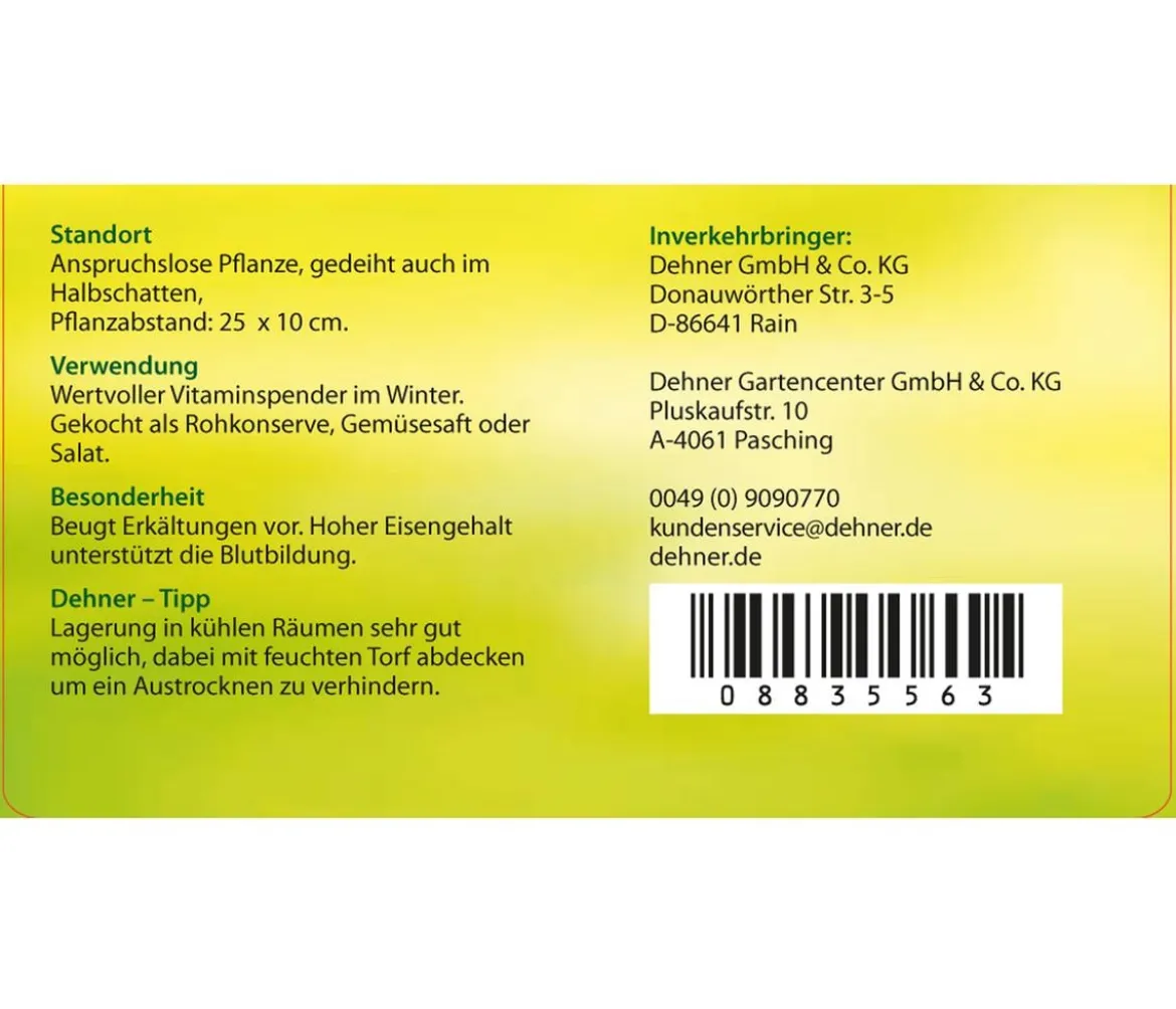 Rote Bete, Rote Rübe, bunt, 12er Schale