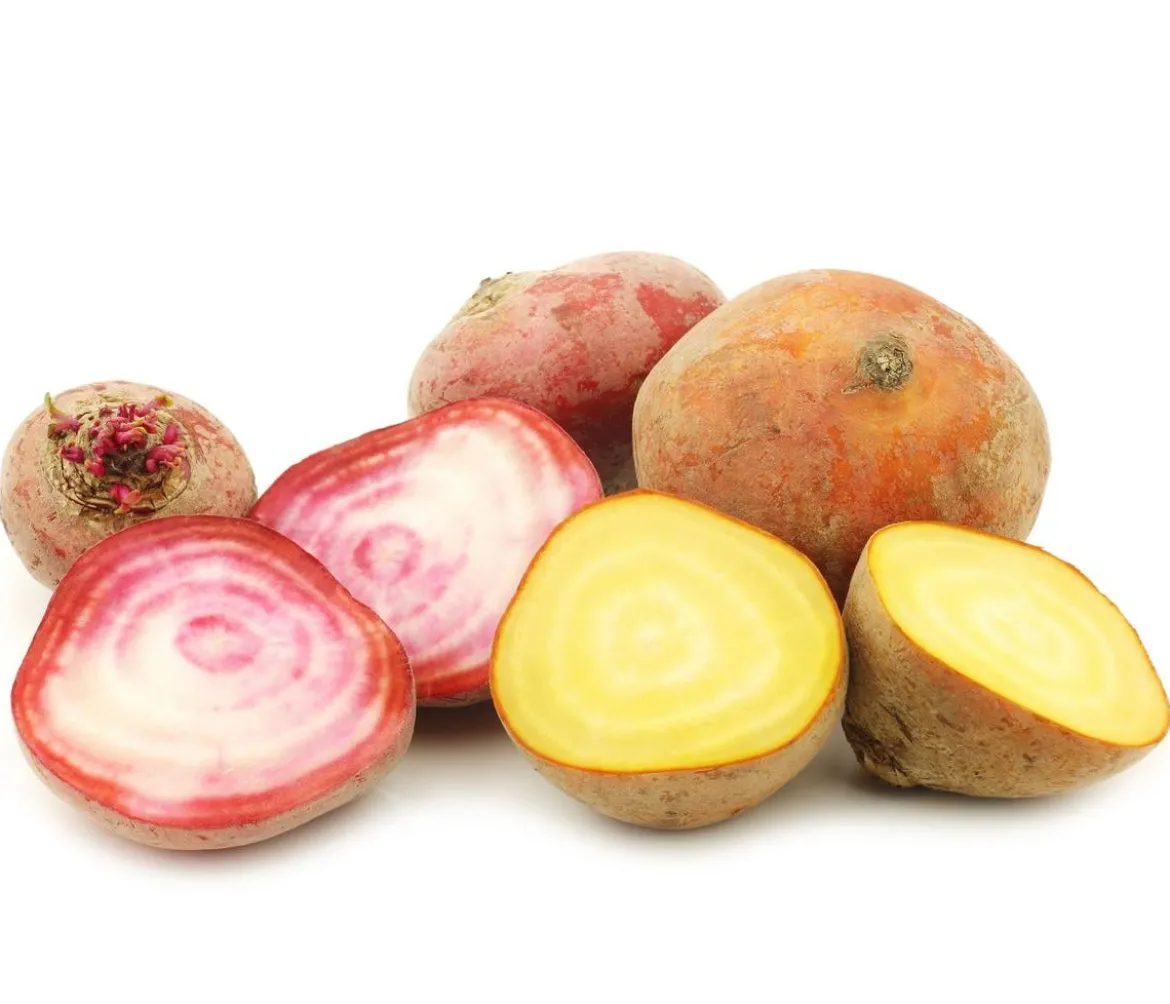 Rote Bete, Rote Rübe, bunt, 12er Schale