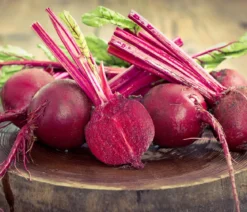 Rote Bete, Rote Rüben, 12er Schale