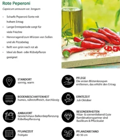 Rote Peperoni, scharf