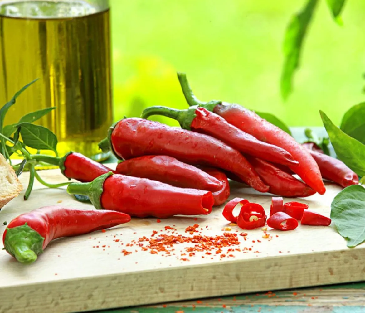 Rote Peperoni, scharf