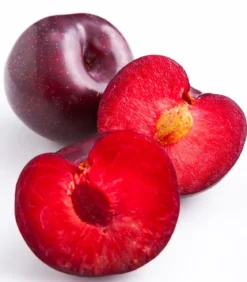 Rotfleischige Pflaume 'Giant'