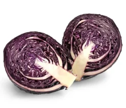 Rotkohl, 6er Schale