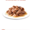 ROYAL CANIN® Nassfutter für Katzen Instinctive in Soße, 12 x 85 g