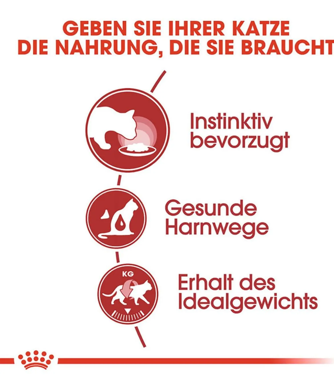 ROYAL CANIN® Nassfutter für Katzen Instinctive in Soße, 12 x 85 g