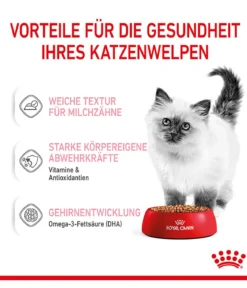 ROYAL CANIN® Nassfutter für Katzen Kitten in Soße, 12 x 85 g