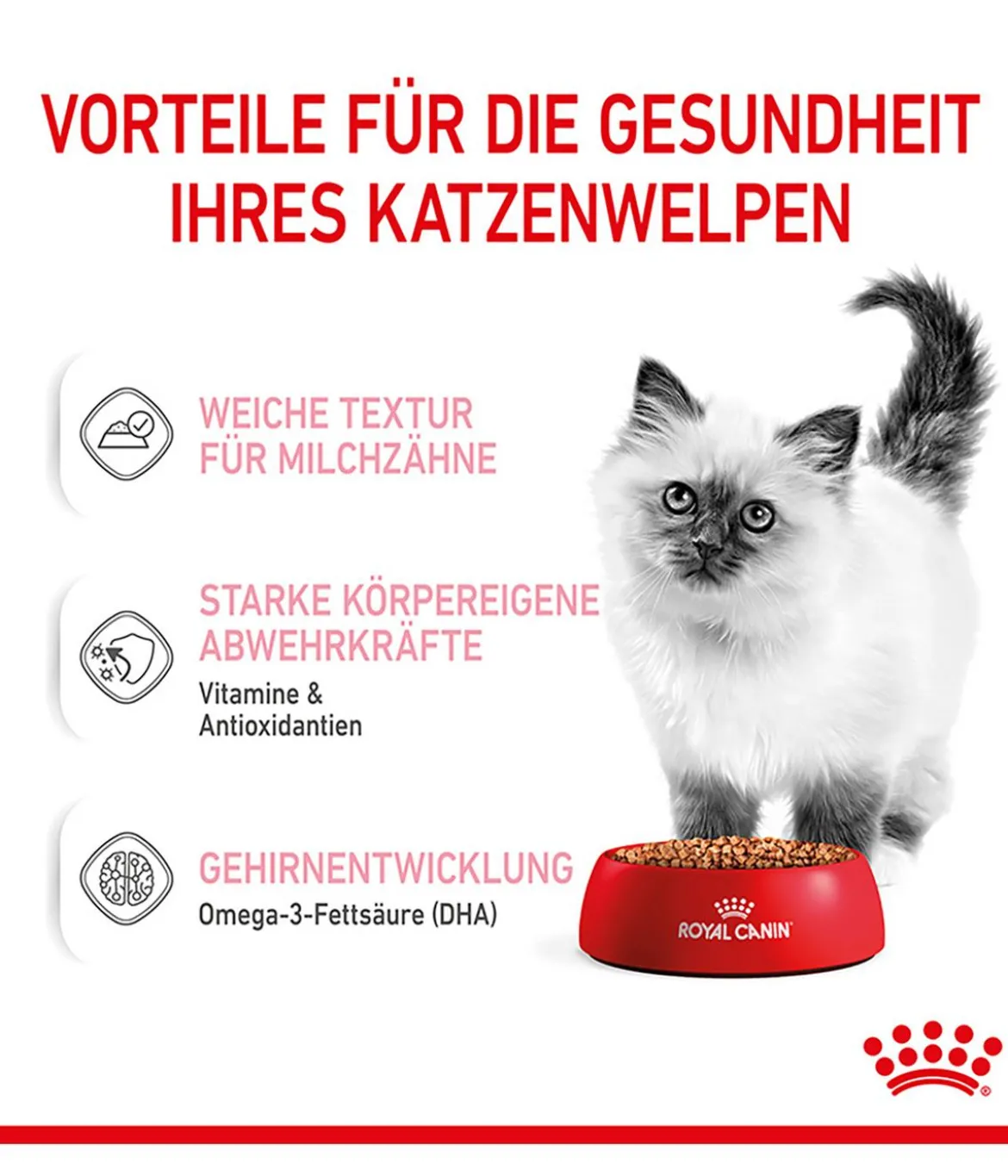 ROYAL CANIN® Nassfutter für Katzen Kitten in Soße, 12 x 85 g