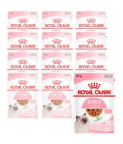 ROYAL CANIN® Nassfutter für Katzen Kitten in Soße, 12 x 85 g