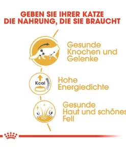 ROYAL CANIN® Nassfutter für Katzen Maine Coon Adult in Soße, 12 x 85 g
