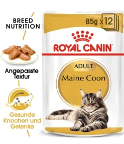 ROYAL CANIN® Nassfutter für Katzen Maine Coon Adult in Soße, 12 x 85 g