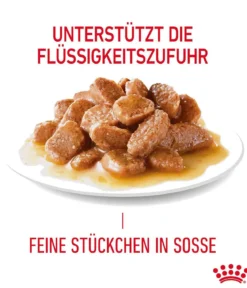 ROYAL CANIN® Nassfutter für Katzen Light Weight Care in Soße, 12 x 85 g