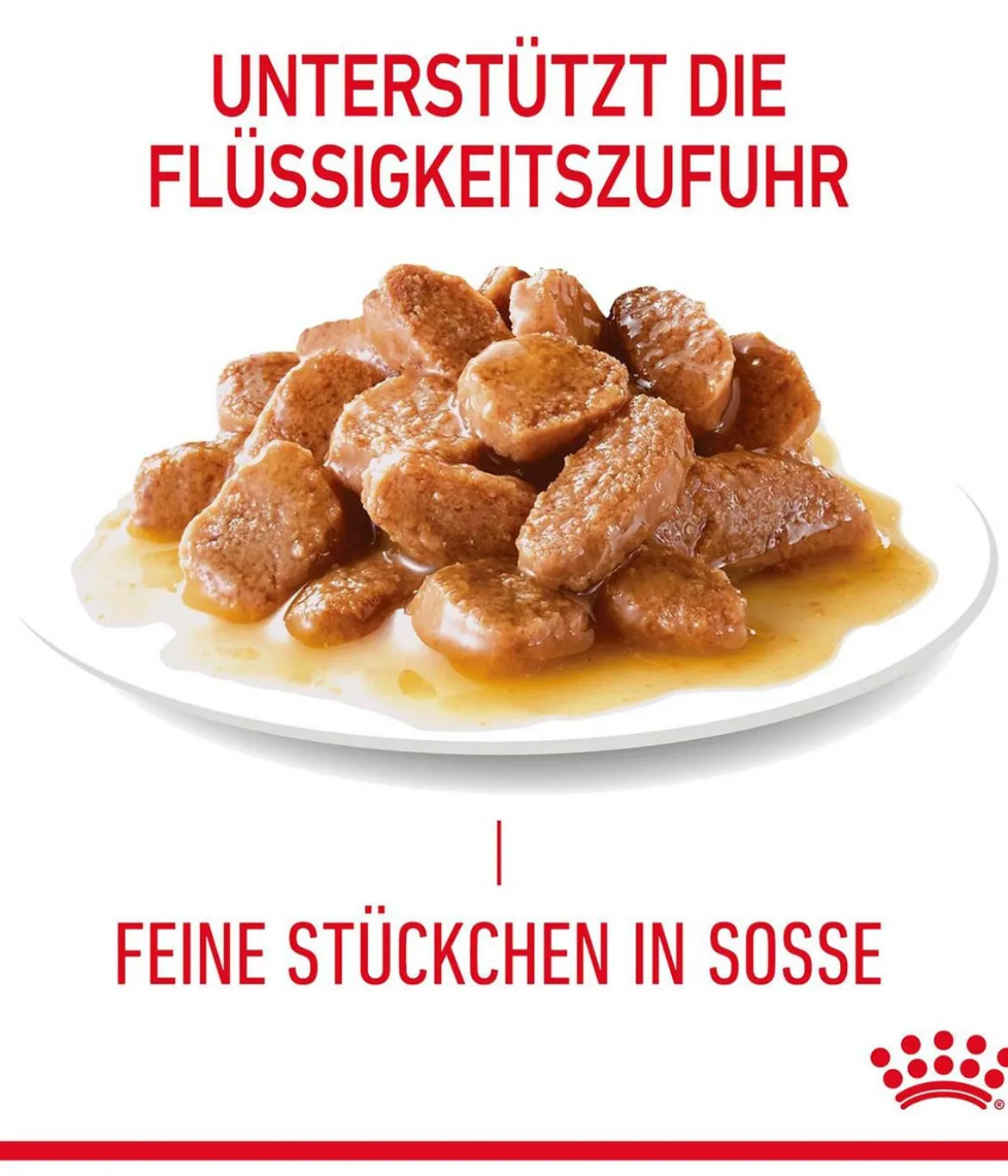 ROYAL CANIN® Nassfutter für Katzen Digestive Care in Soße, 12 x 85 g