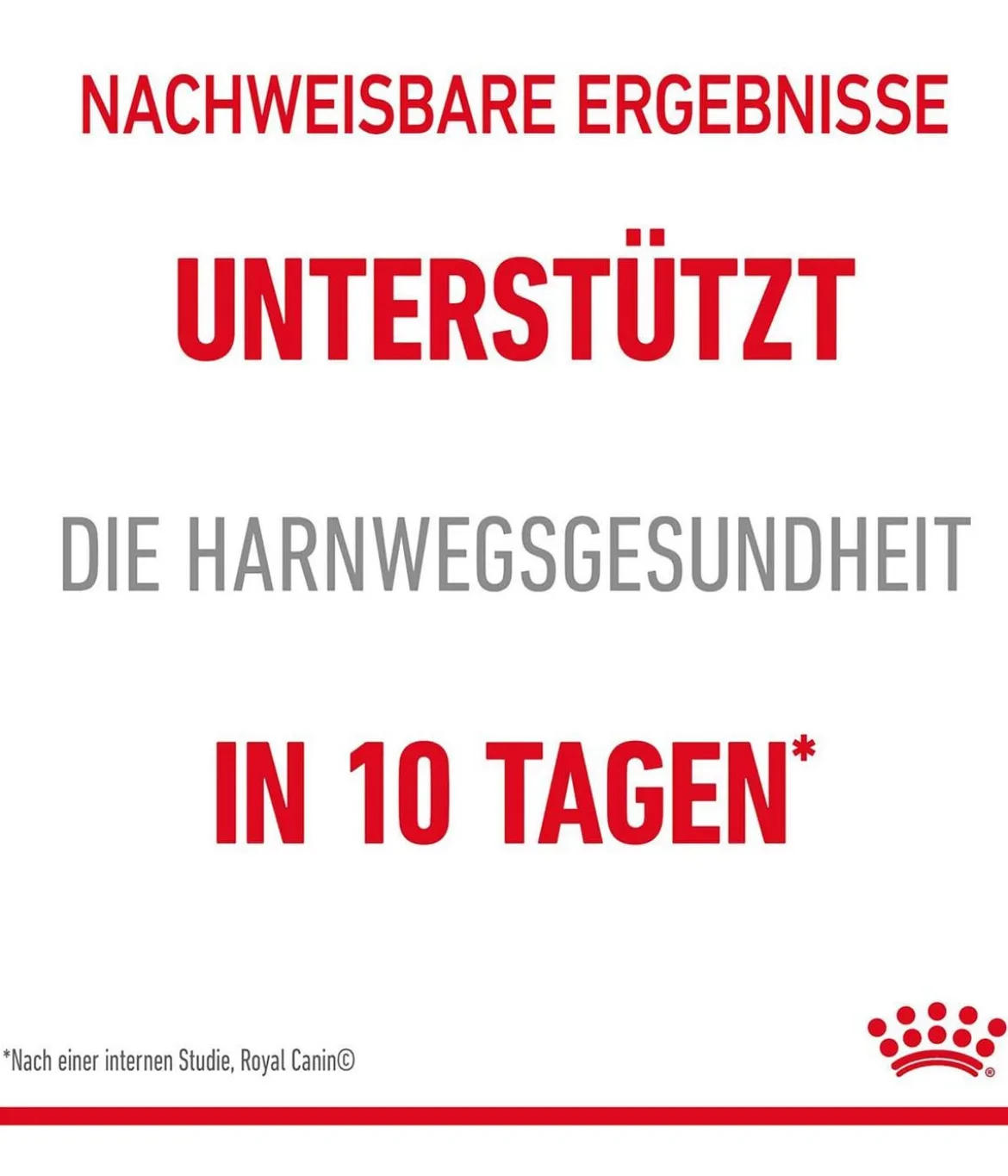 ROYAL CANIN® Nassfutter für Katzen Urinary Care in Soße, 12 x 85 g