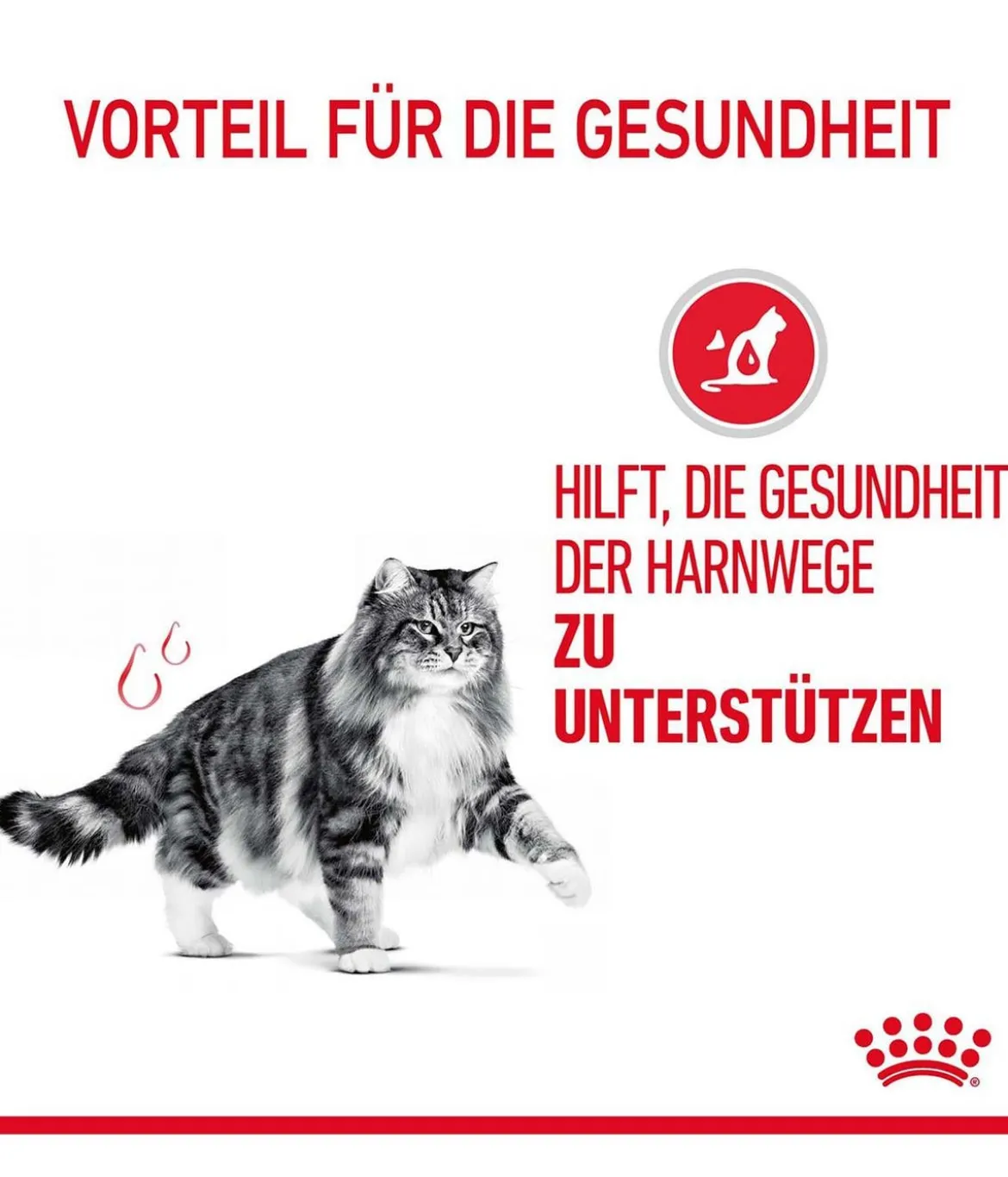 ROYAL CANIN® Nassfutter für Katzen Urinary Care in Soße, 12 x 85 g
