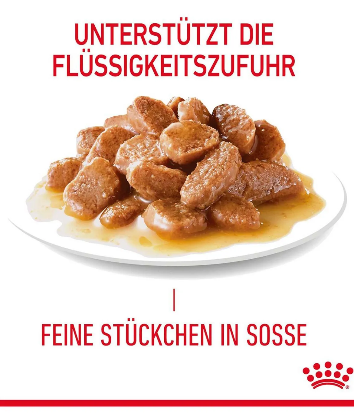 ROYAL CANIN® Nassfutter für Katzen Urinary Care in Soße, 12 x 85 g