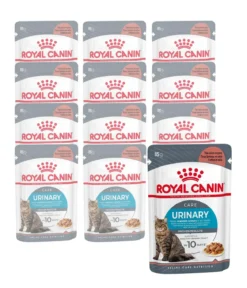 ROYAL CANIN® Nassfutter für Katzen Urinary Care in Soße, 12 x 85 g