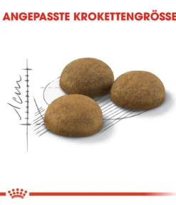 ROYAL CANIN® Trockenfutter für Katzen Indoor Long Hair