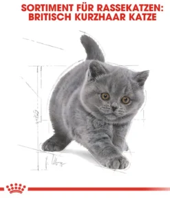 ROYAL CANIN® Trockenfutter für Katzen British Shorthair Kitten