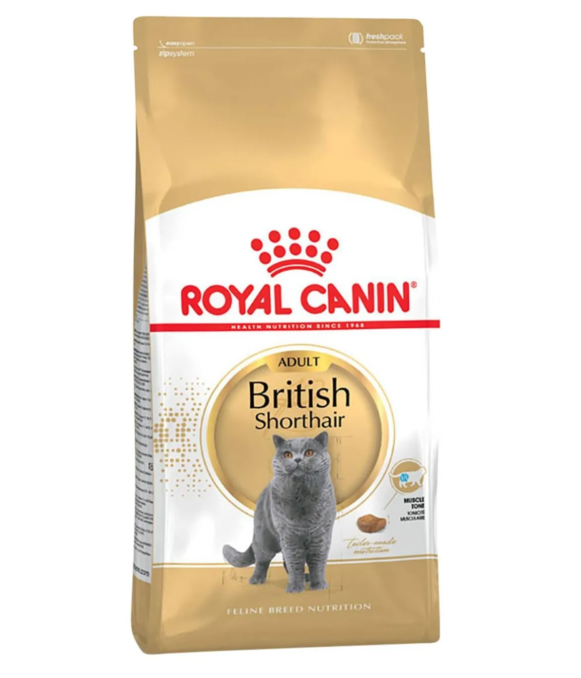 ROYAL CANIN® Trockenfutter für Katzen British Shorthair Adult