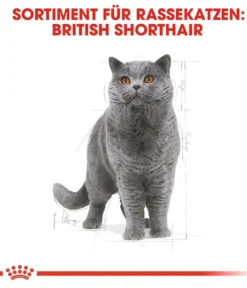 ROYAL CANIN® Trockenfutter für Katzen British Shorthair Adult