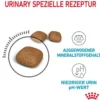 ROYAL CANIN® Trockenfutter für Katzen Urinary Care