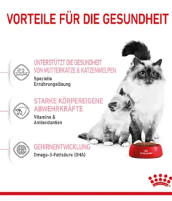 ROYAL CANIN® Trockenfutter für Katzen Mother & Babycat