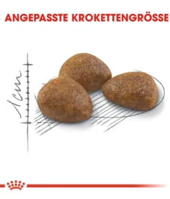 ROYAL CANIN® Trockenfutter für Katzen Outdoor 7+