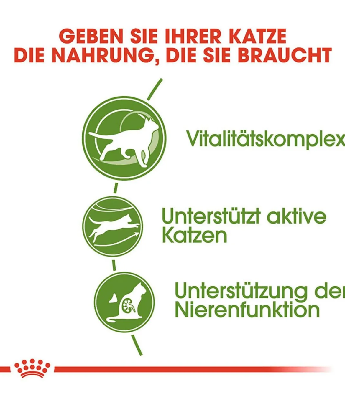 ROYAL CANIN® Trockenfutter für Katzen Outdoor 7+