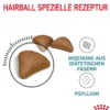 ROYAL CANIN® Trockenfutter für Katzen Hairball Care