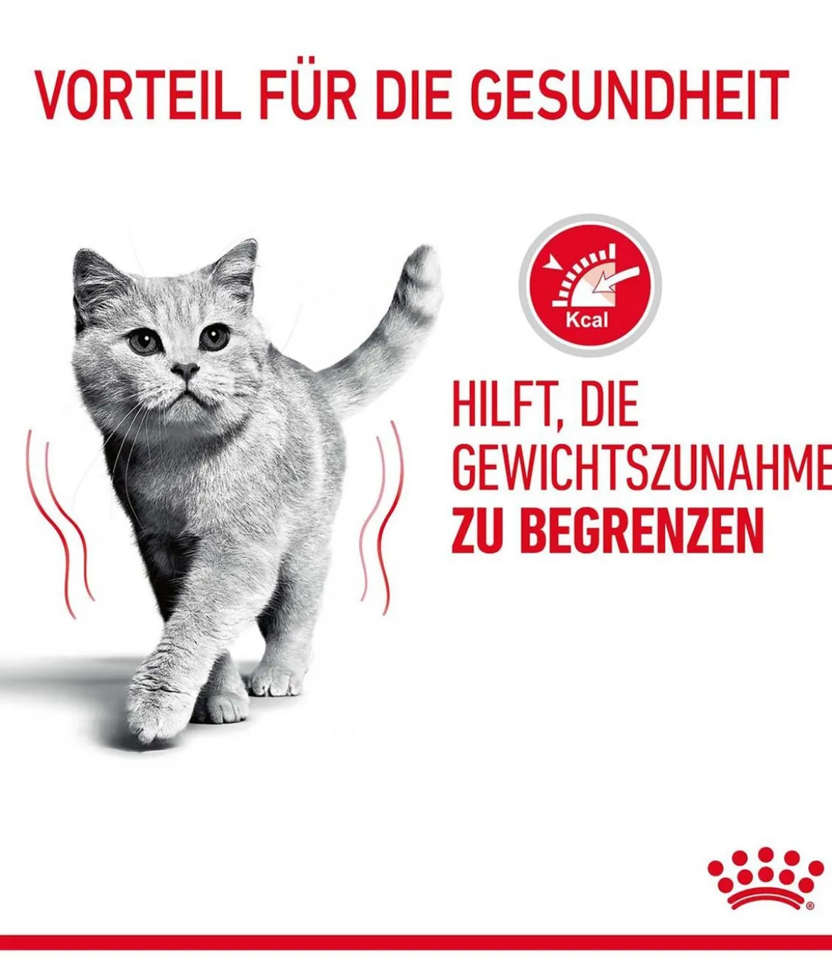 ROYAL CANIN® Trockenfutter für Katzen Light Weight Care