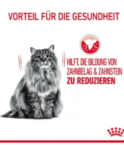 ROYAL CANIN® Trockenfutter für Katzen Dental Care