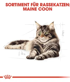 ROYAL CANIN® Trockenfutter für Katzen Maine Coon Adult