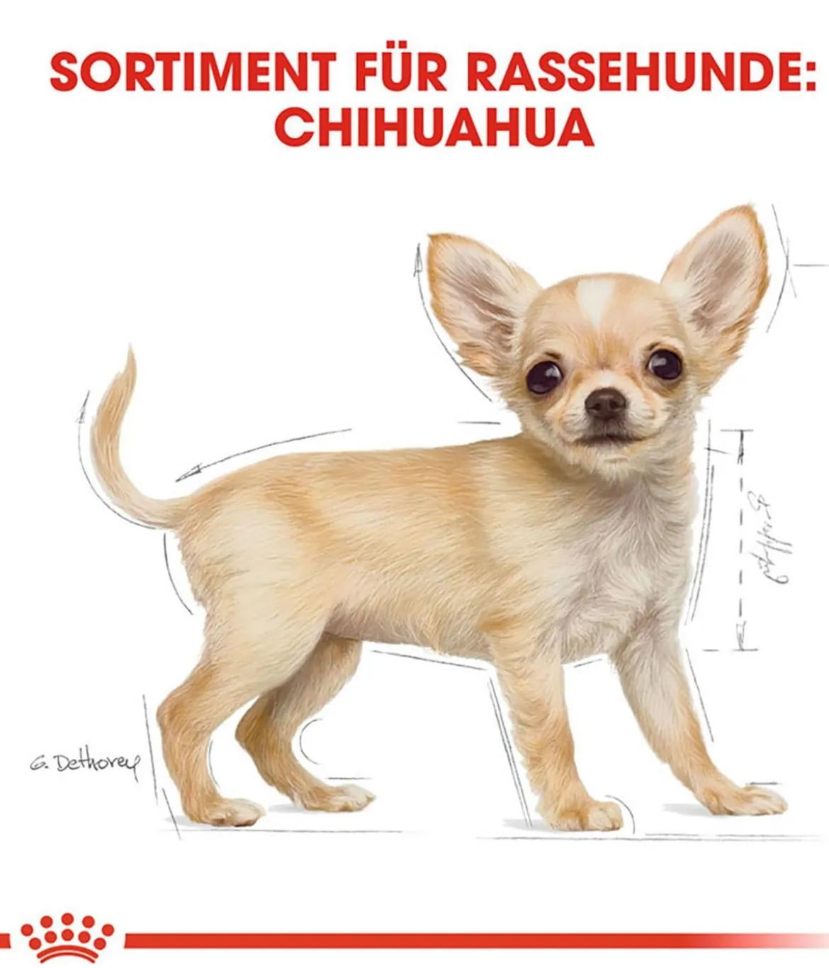 ROYAL CANIN® Trockenfutter für Hunde Chihuahua Puppy