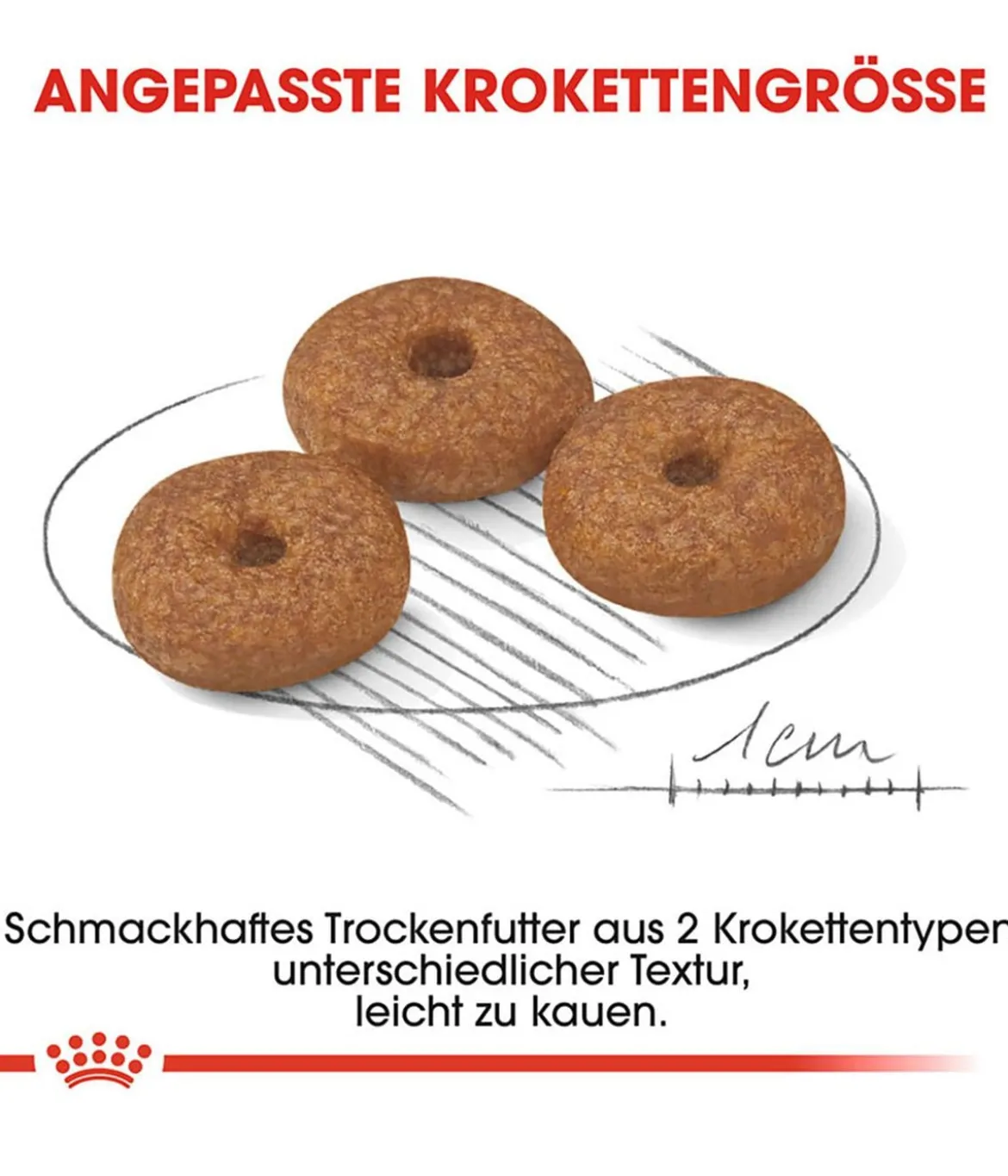 ROYAL CANIN® Trockenfutter für Hunde Mini Ageing 12+