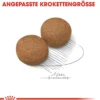 ROYAL CANIN® Trockenfutter für Hunde 5+ Maxi Adult