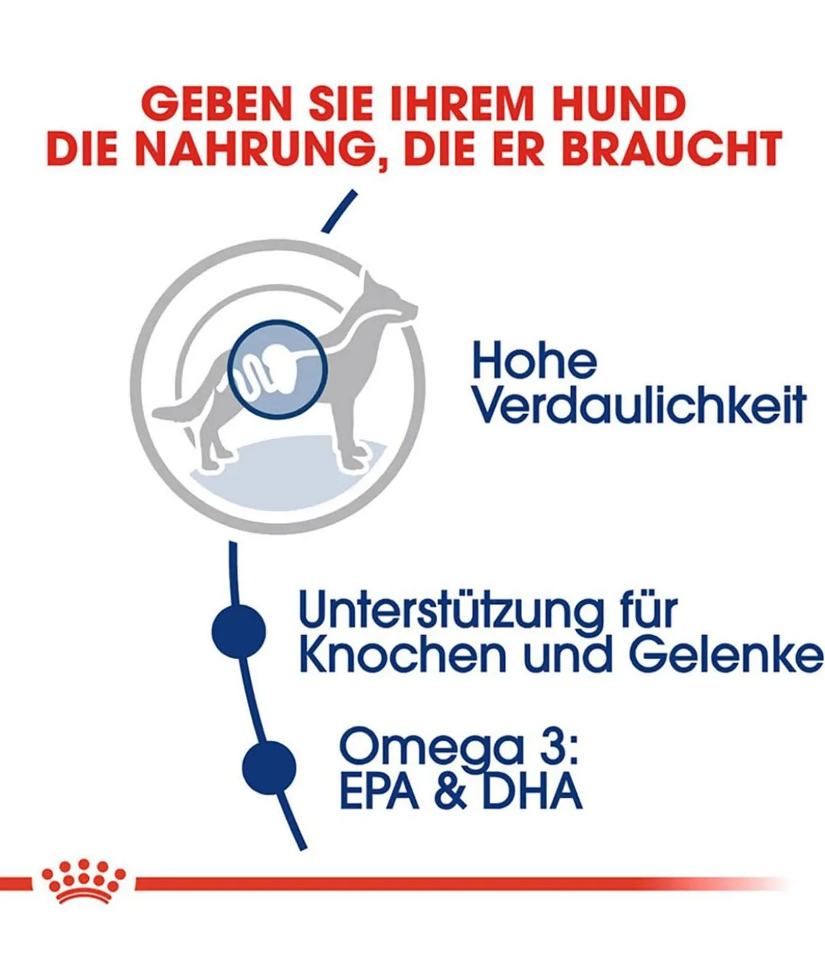 ROYAL CANIN® Trockenfutter für Hunde 5+ Maxi Adult