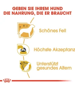 ROYAL CANIN® Trockenfutter für Hunde Yorkshire Terrier Adult