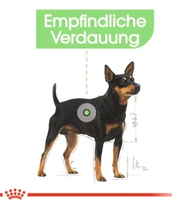 ROYAL CANIN® Trockenfutter für Hunde Digestive Care Mini