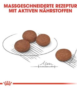 ROYAL CANIN® Trockenfutter für Hunde Digestive Care Mini