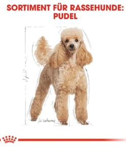 ROYAL CANIN® Trockenfutter für Hunde Poodle Adult