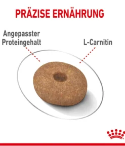 ROYAL CANIN® Trockenfutter für Hunde Light Weight Care Mini