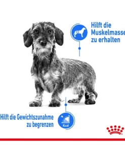 ROYAL CANIN® Trockenfutter für Hunde Light Weight Care Mini