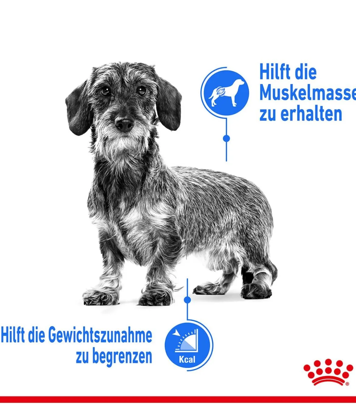 ROYAL CANIN® Trockenfutter für Hunde Light Weight Care Mini